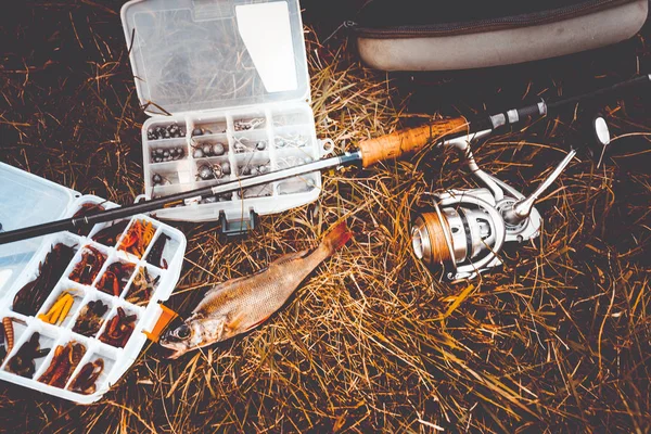 Concept Van Visserij Pakken Hengel Vissen Het Gras — Stockfoto