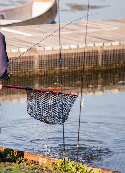 Pesca Truta Rio — Fotografia de Stock