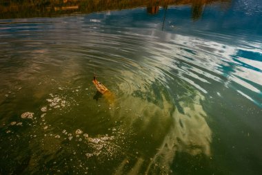 Gölde balık tutmak.