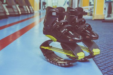 kangoo botları yakından atlar