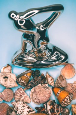 Arka plan mavi bir arka plan üzerinde deniz kabukları