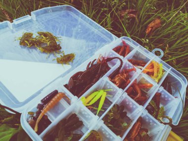 Balık tutma kavramı: Yemler ve iplik