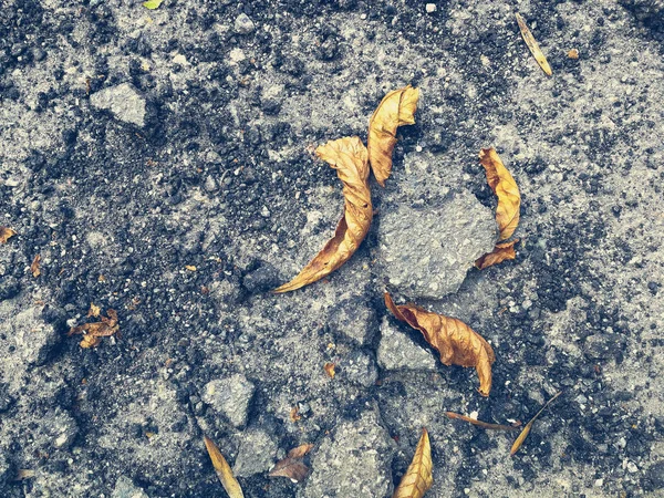 Broken asphalt with dry leaves — Stock Photo, Image