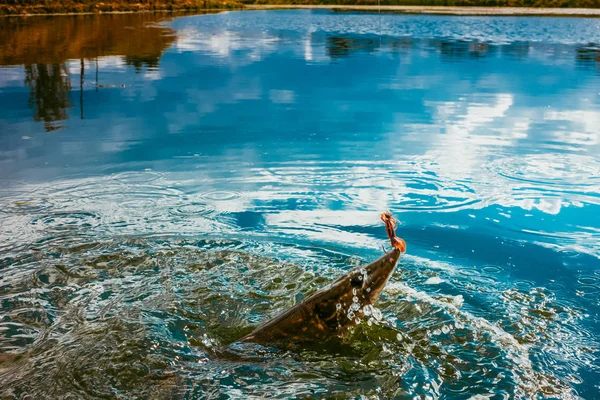 湖でのパイク釣り — ストック写真