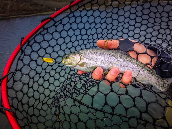 Contesto Tema Pesca — Foto Stock