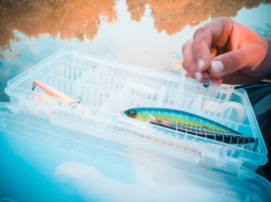 bir kutuiçinde balık için yem