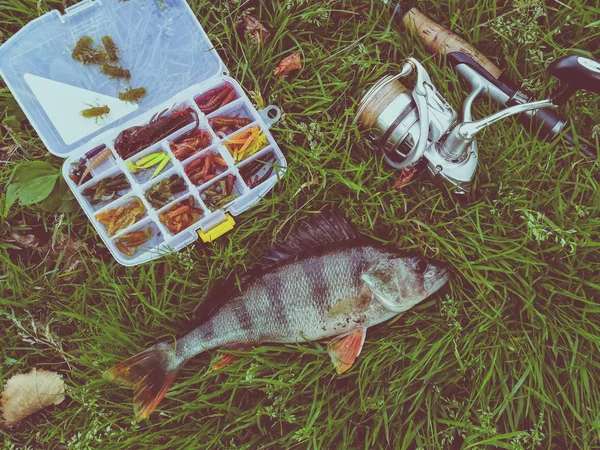 Concetto di pesca: pesce, canna da pesca, esca — Foto Stock