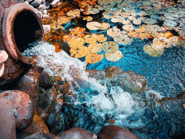 eski bir vazodan şelale