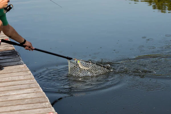 Pesca Alla Trota Sul Fiume — Foto Stock