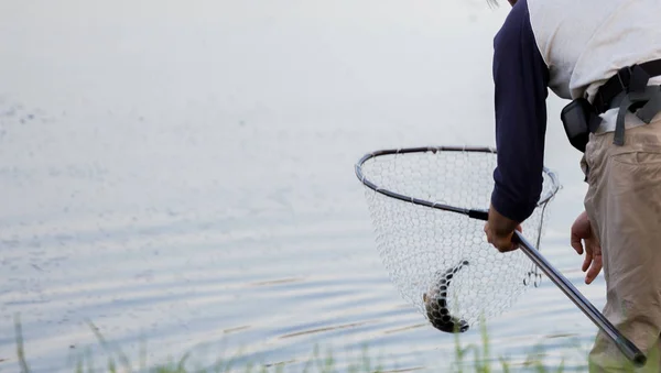 Trout Fishing River — Stock Photo, Image