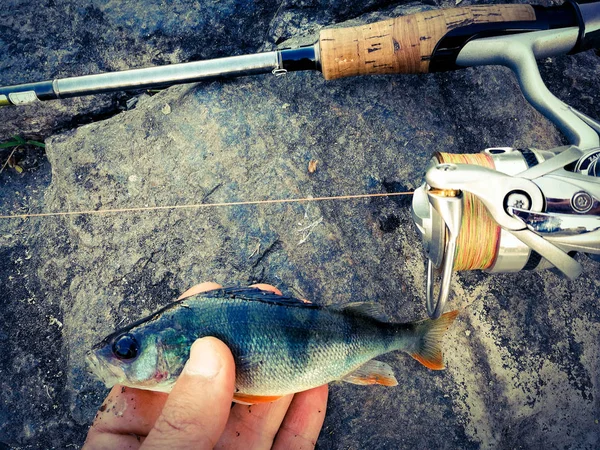 Le pêcheur a attrapé un petit poisson pour appât — Photo