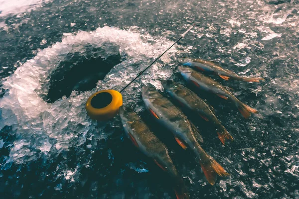 Ice fishing on the lake — стоковое фото