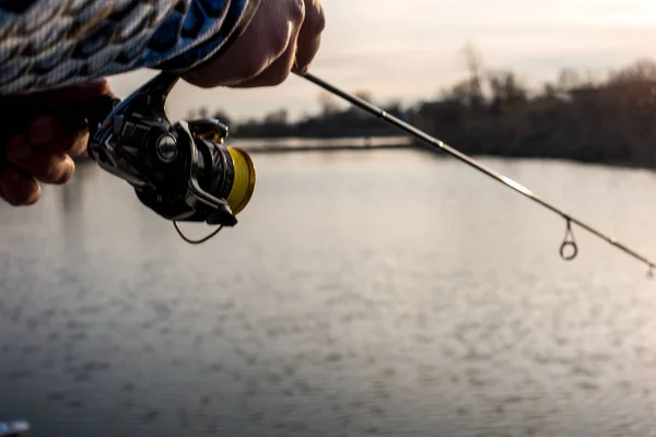 Vissen op forel op het meer — Stockfoto