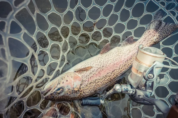 Trout fishing on the lake — Stock Photo, Image