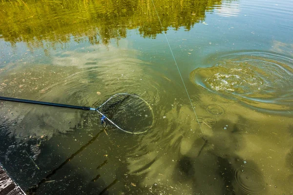 Pesca Truchas Río —  Fotos de Stock