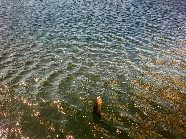 Pesca no lago — Fotografia de Stock