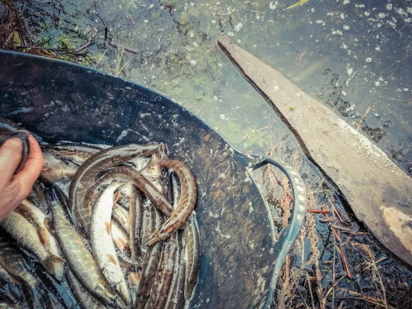 Antecedentes sobre un tema de pesca — Foto de Stock