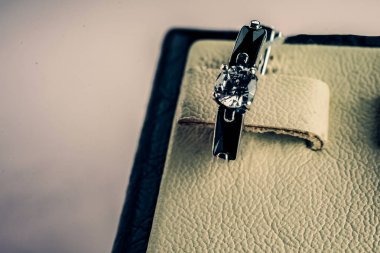 Taşlar Gümüş Küpe