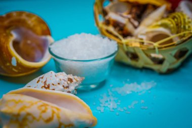 Kabukları ve deniz tuzu arka plan