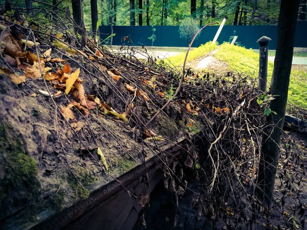 Molti rami sulla terra — Foto Stock