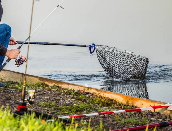 Pesca Truchas Río — Foto de Stock