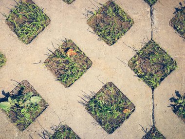 arka plan beton çim