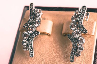 Taşlar Gümüş Küpe