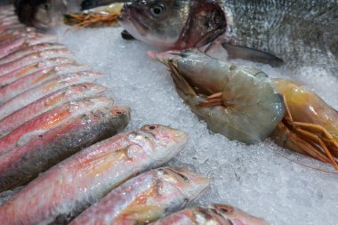 Balık ve deniz ürünleri buz üstünde