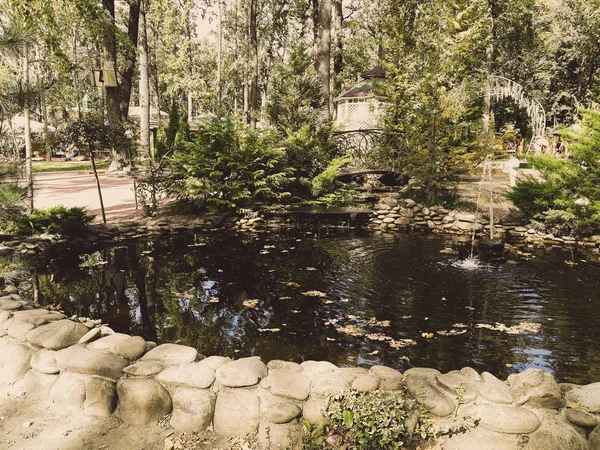 Étang avec une fontaine — Photo