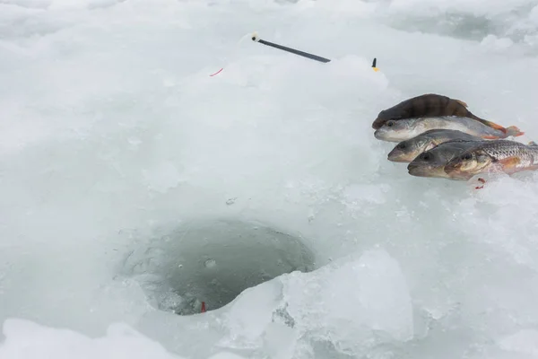 Hielo Invierno Pasatiempo Pesca — Foto de Stock