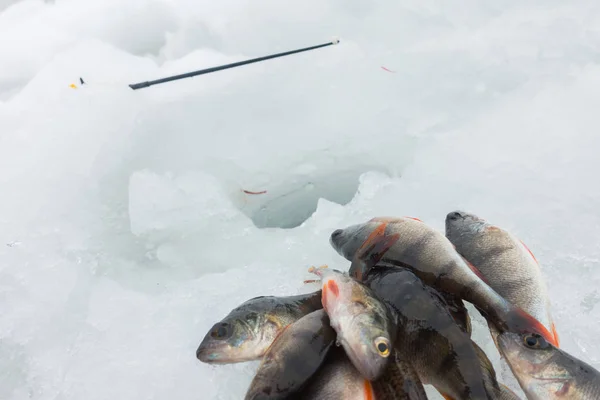 Winter Ice Fishing Hobby — Stock Photo, Image