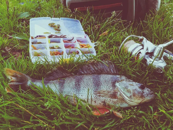 Concetto di pesca: pesce, canna da pesca, esca — Foto Stock