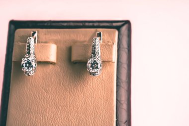 Taşlar Gümüş Küpe