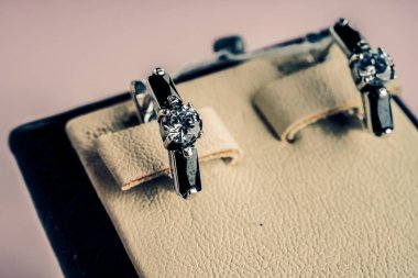 Taşlar Gümüş Küpe