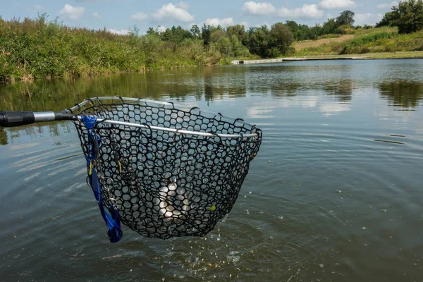 Pike Fishing Lake — Stock Photo, Image