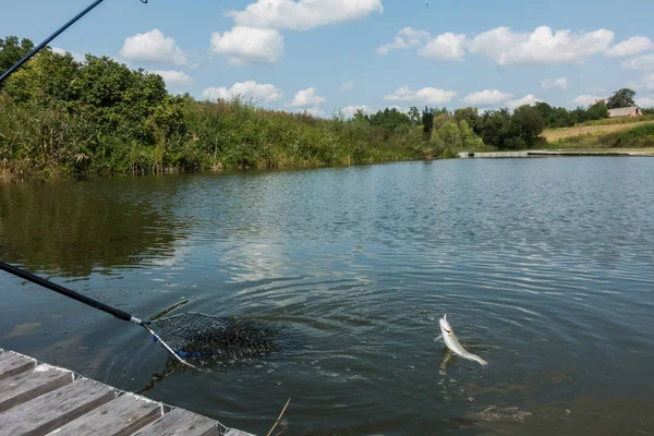 Pesca no fundo do lago — Fotografia de Stock