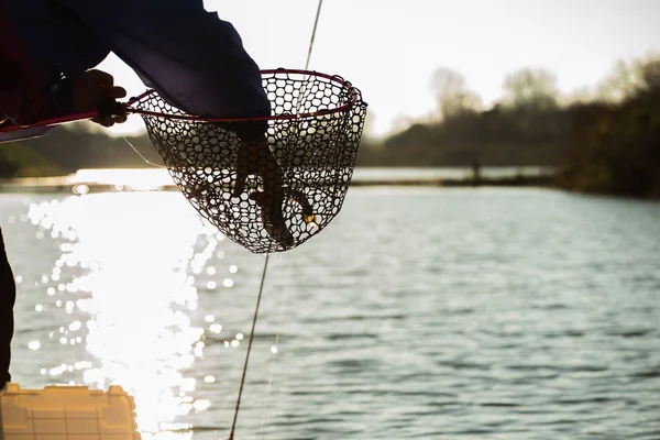 Pesca da truta no lago — Fotografia de Stock