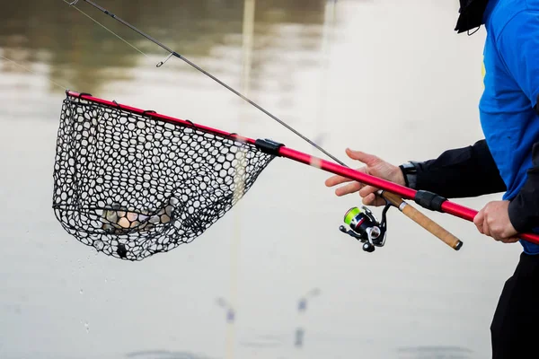 Pesca Truchas Río — Foto de Stock