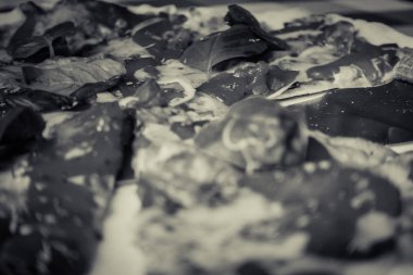 Bir tabakta Pizza margarita