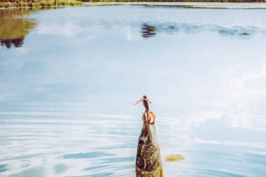 Gölde balık tutmak.