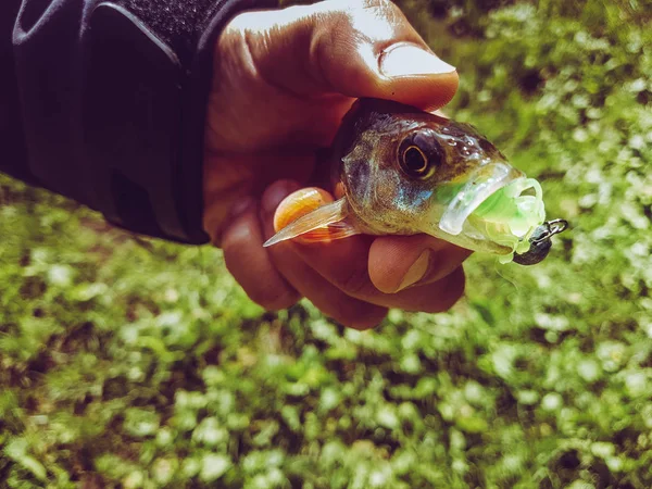 Рыбалка Реке — стоковое фото