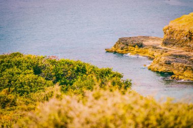 Seascape. Girit'e deniz gezisi