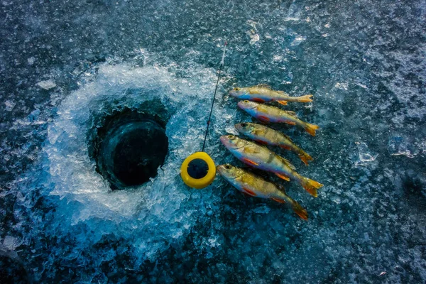 Pesca no gelo no lago — Fotografia de Stock