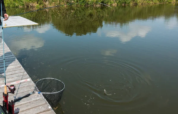 Pesca alla trota sul lago — Foto Stock