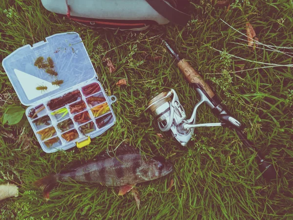 Concepto de pesca: pescado, caña de pescar, cebo — Foto de Stock