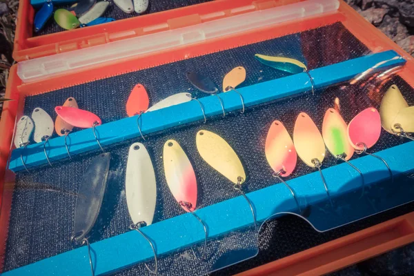 Fischer fangen Regenbogenforellen aus See — Stockfoto