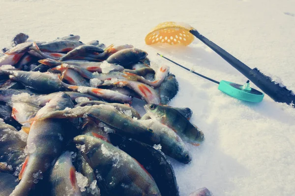 Hielo Invierno Pasatiempo Pesca — Foto de Stock