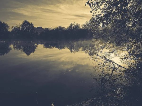 Schöner Teich Tag — Stockfoto