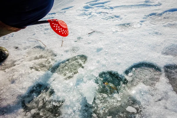 Winterfischen Aus Eis — Stockfoto
