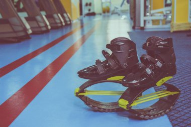 kangoo botları yakından atlar